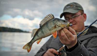 st.croix Legend tournament